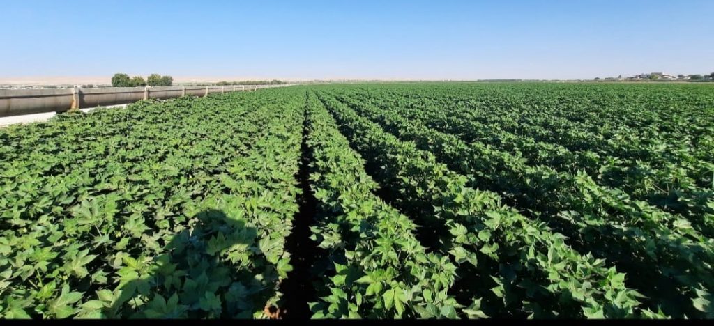 kalaylioglu-ziraat-foto-galeri-bizden-goruntuler (10)