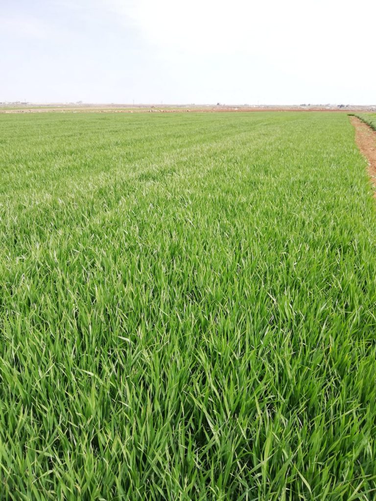 kalaylioglu-ziraat-foto-galeri-bizden-goruntuler (10)