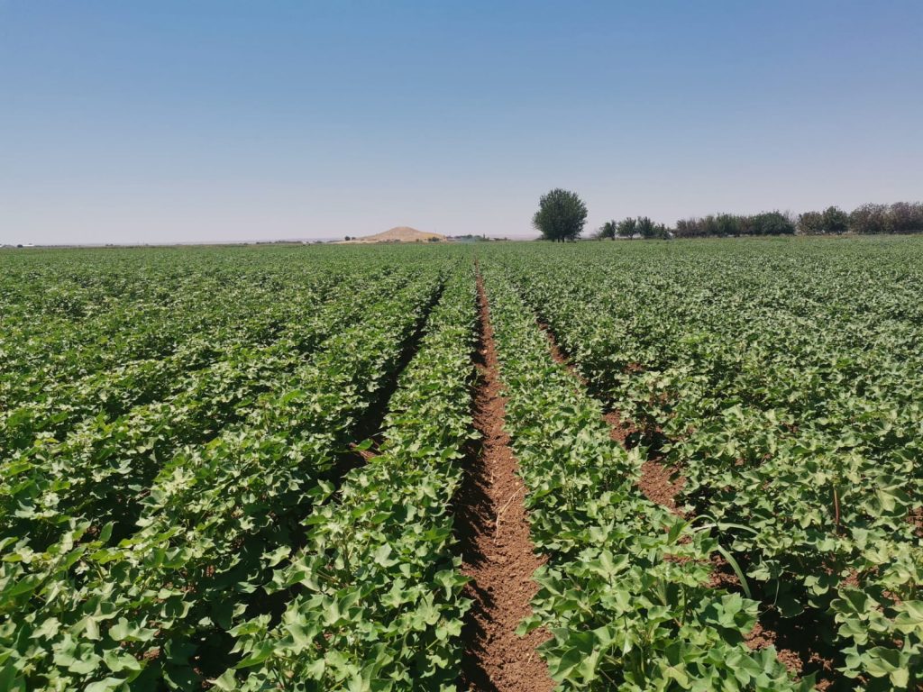 kalaylioglu-ziraat-foto-galeri-bizden-goruntuler (11)