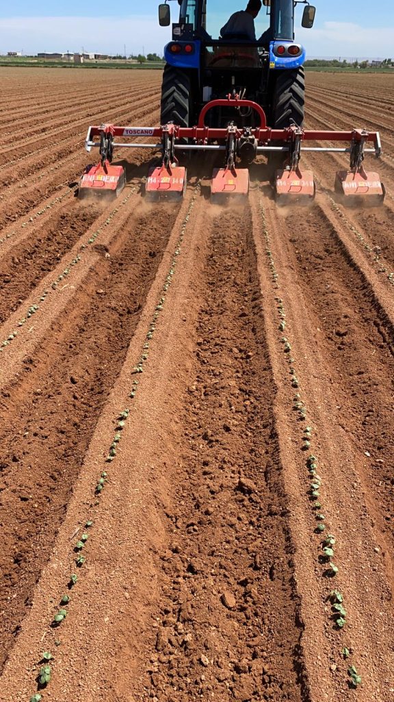 kalaylioglu-ziraat-foto-galeri-bizden-goruntuler (12)