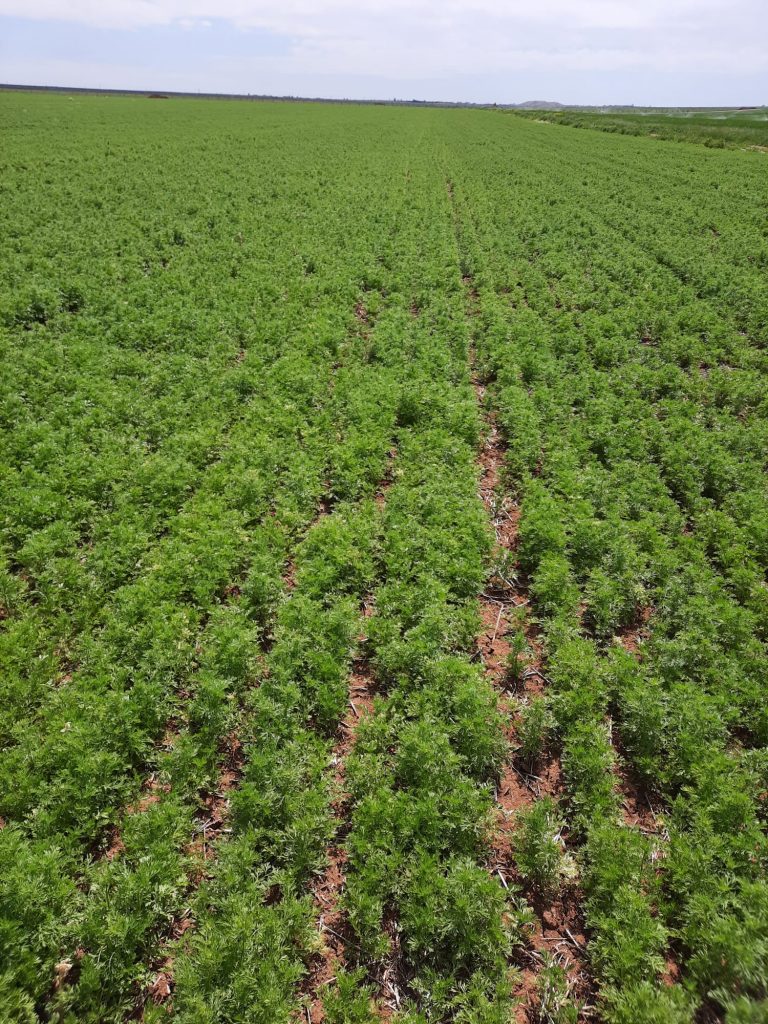 kalaylioglu-ziraat-foto-galeri-bizden-goruntuler (13)