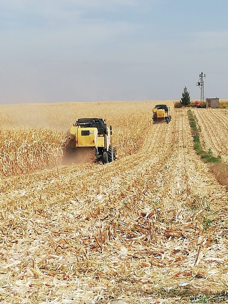 kalaylioglu-ziraat-foto-galeri-bizden-goruntuler (17)