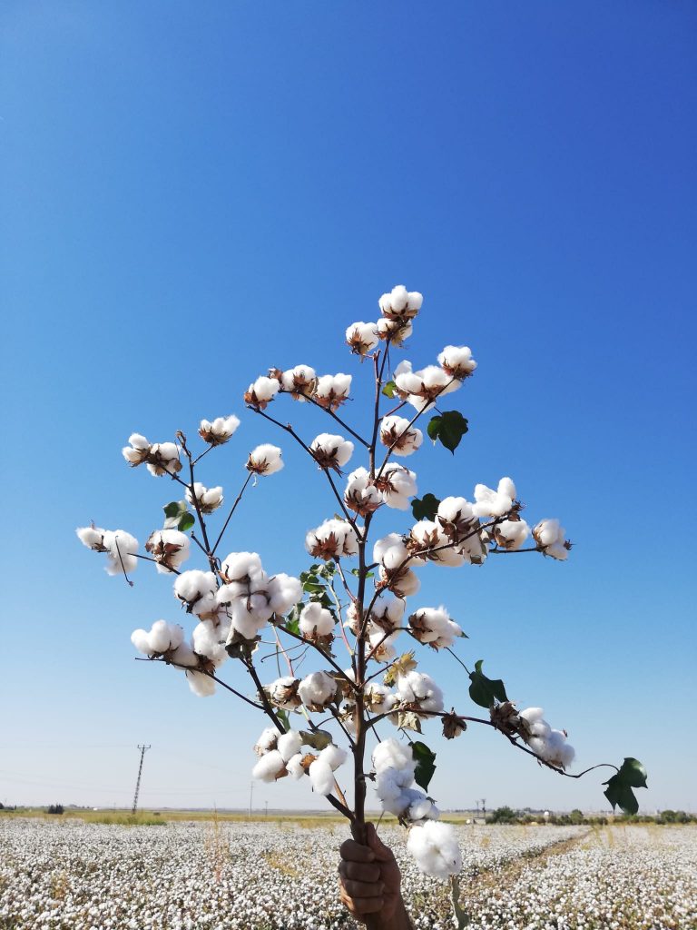 kalaylioglu-ziraat-foto-galeri-bizden-goruntuler (21)