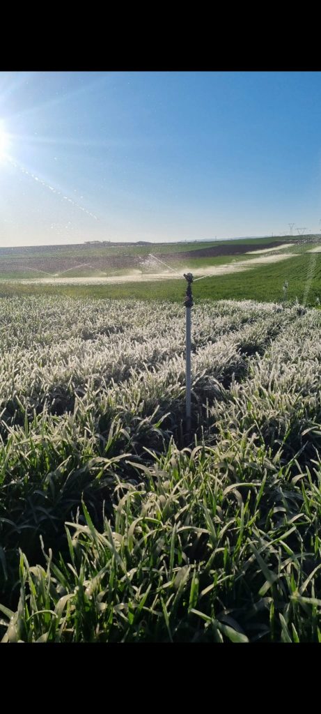 kalaylioglu-ziraat-foto-galeri-bizden-goruntuler (30)