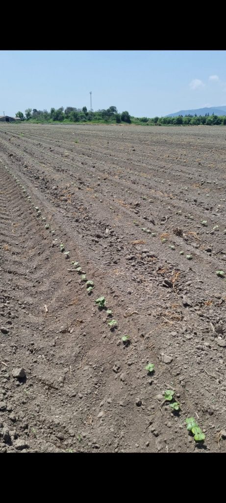 kalaylioglu-ziraat-foto-galeri-bizden-goruntuler (38)