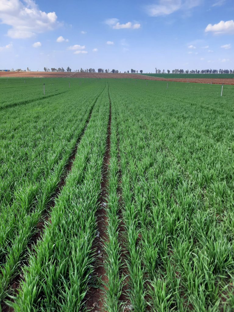 kalaylioglu-ziraat-foto-galeri-bizden-goruntuler (4)