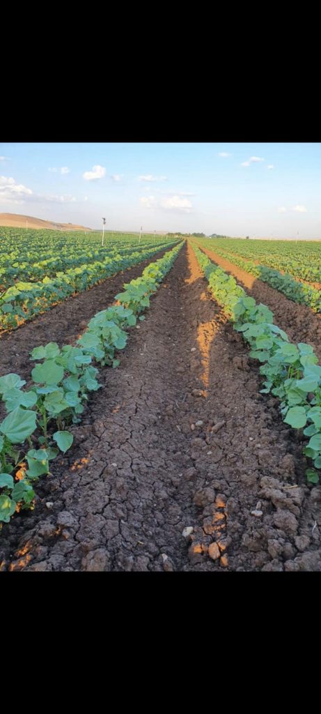 kalaylioglu-ziraat-foto-galeri-bizden-goruntuler (50)