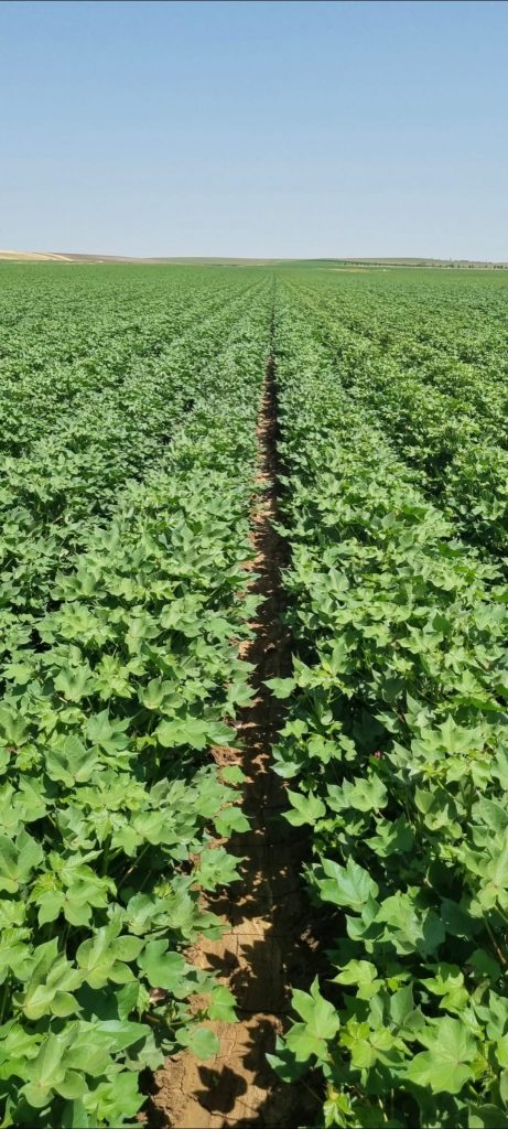 kalaylioglu-ziraat-foto-galeri-bizden-goruntuler (59)