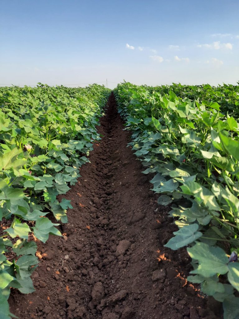 kalaylioglu-ziraat-foto-galeri-bizden-goruntuler (6)