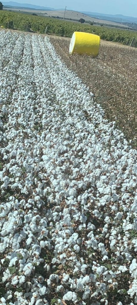 kalaylioglu-ziraat-foto-galeri-bizden-goruntuler (68)