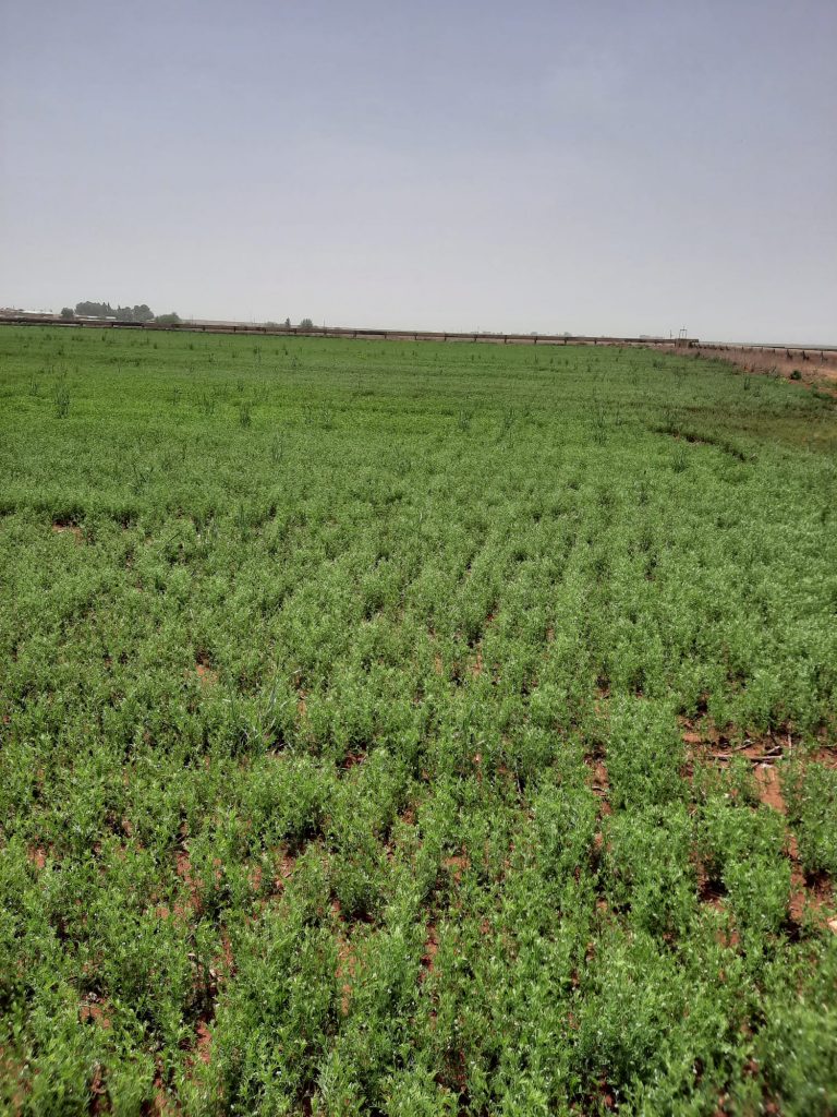 kalaylioglu-ziraat-foto-galeri-bizden-goruntuler (8)