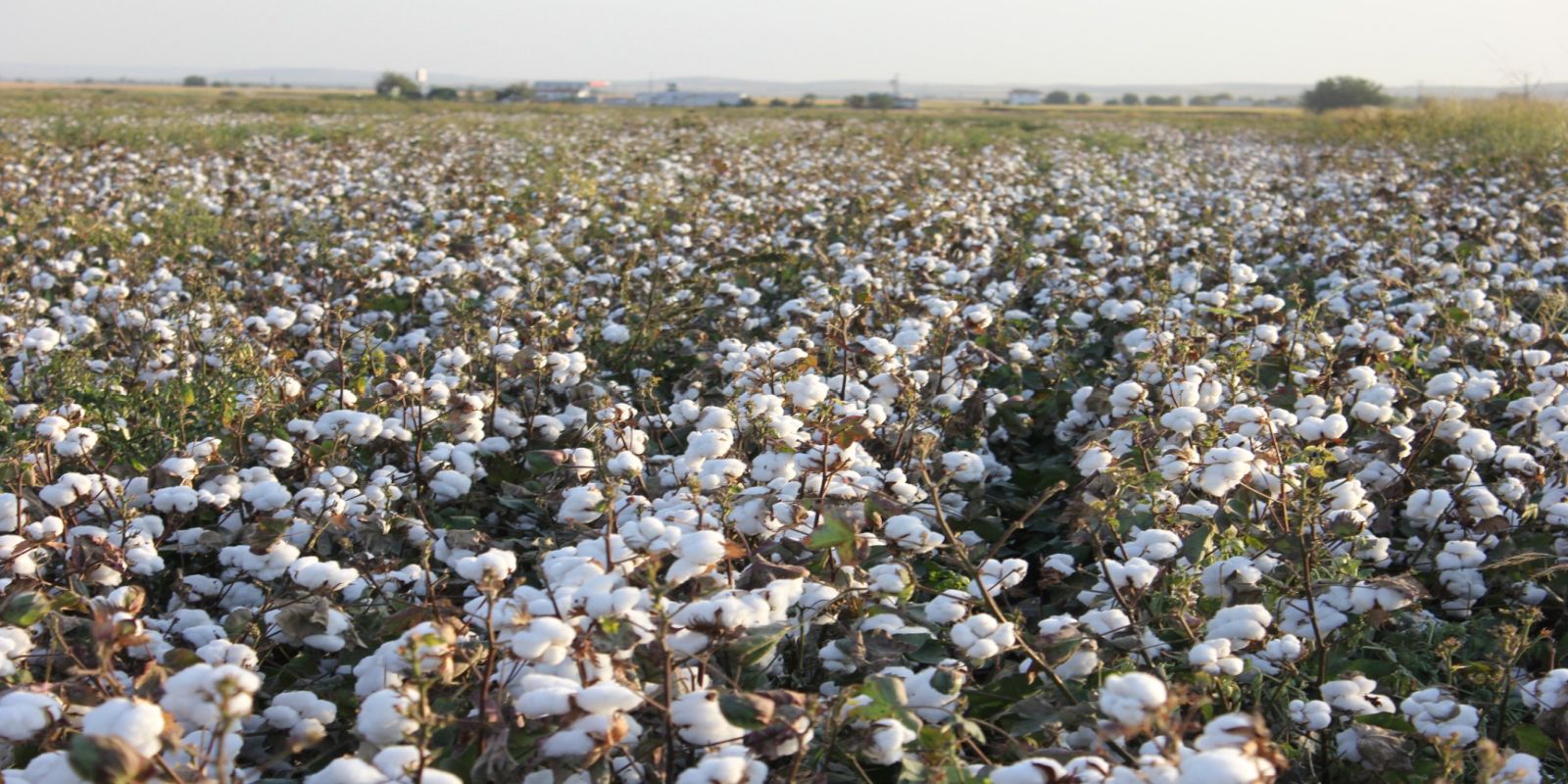 kalaylioglu-ziraat-slayt-4