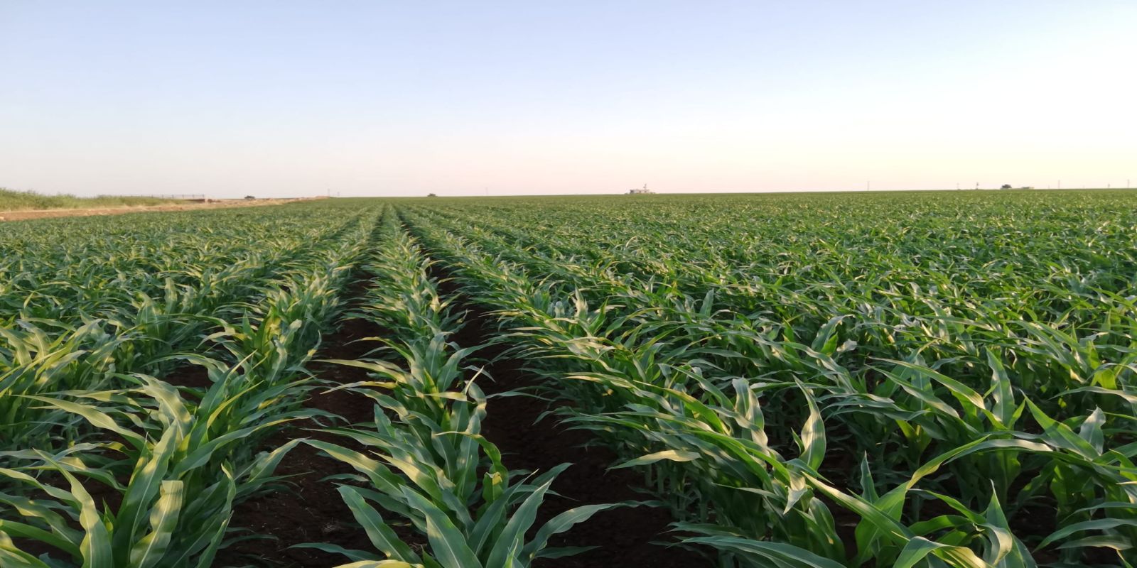 kalaylioglu-ziraat-slayt-7